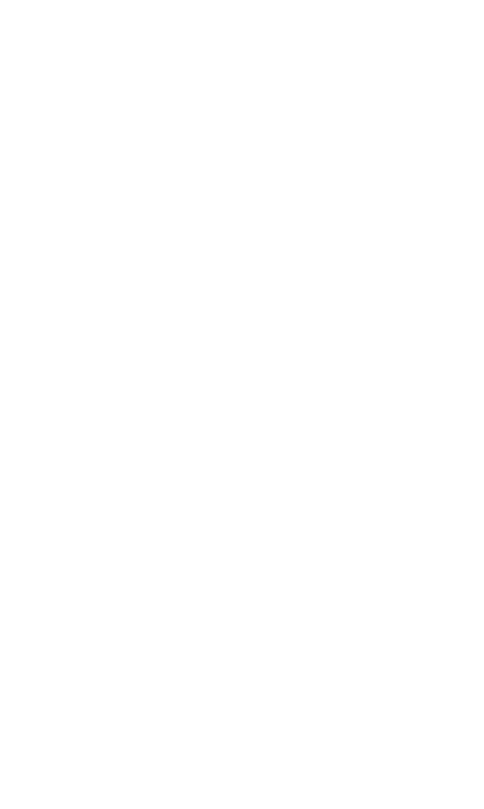 Eighty One Owl